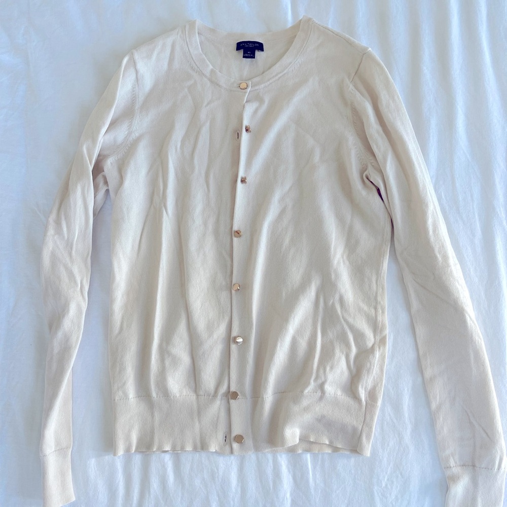 Ann Taylor blush sweater